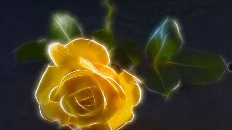 Yellow Rose with Leaves