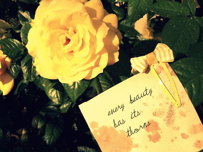 Yellow Rose with Note