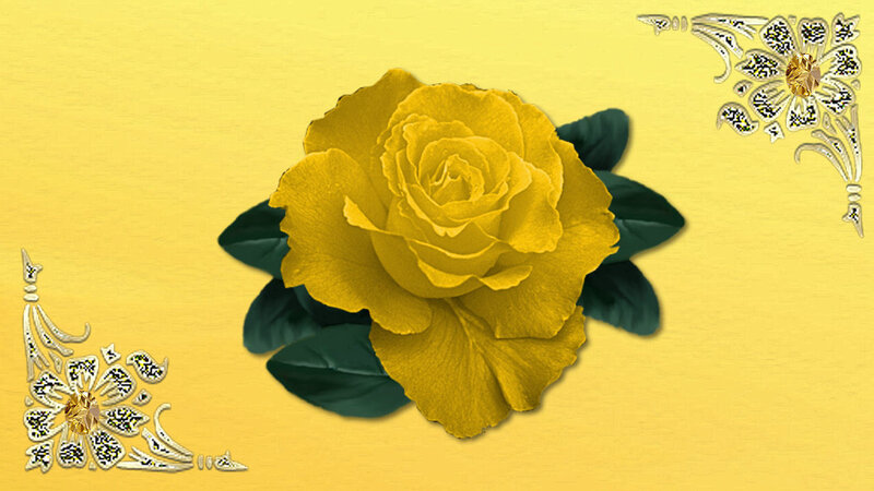 yellow rose with ornate corners
