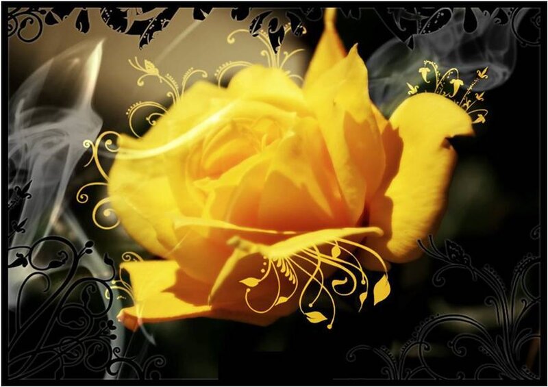 yellow rose with ornate design
