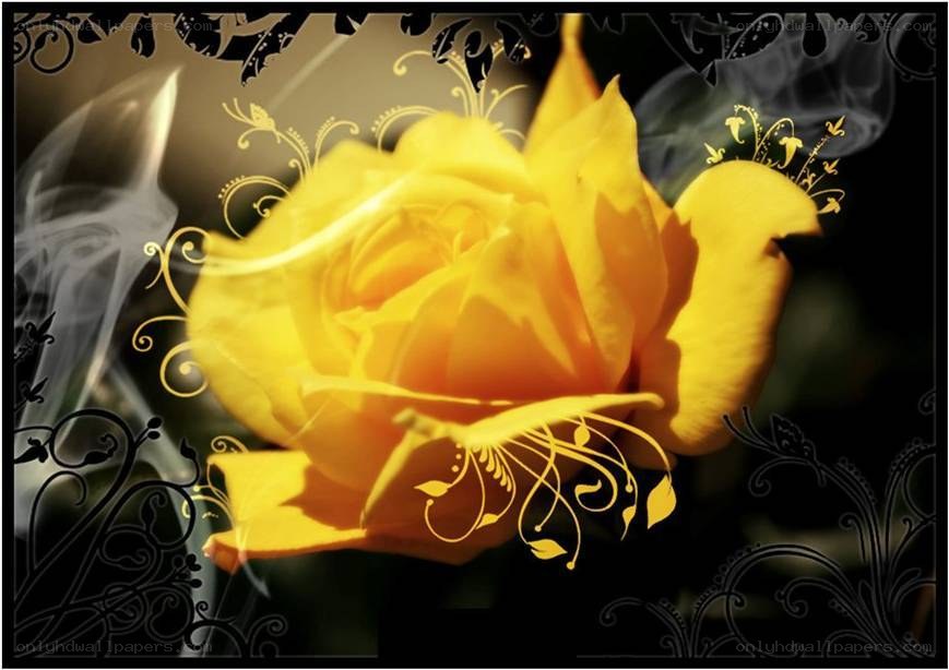 yellow rose with ornate design