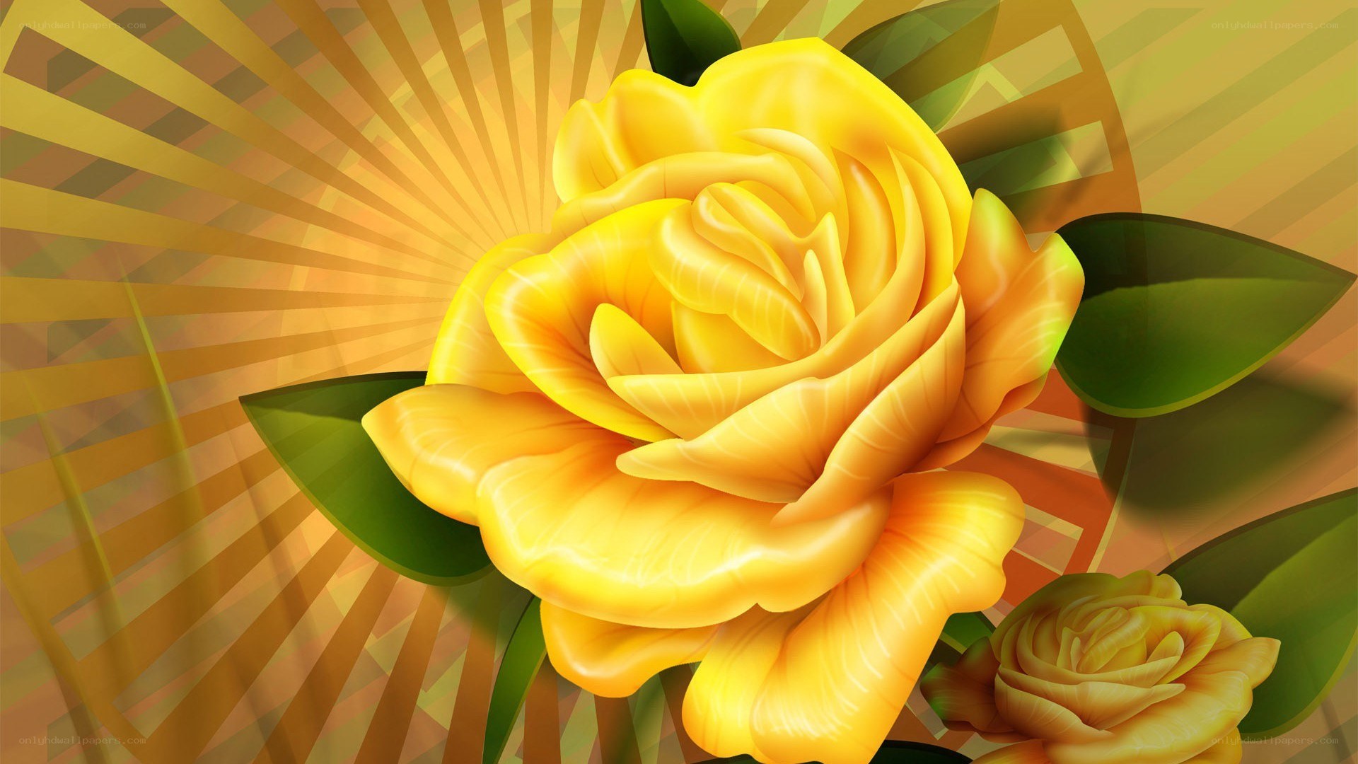 Yellow rose with sunburst background