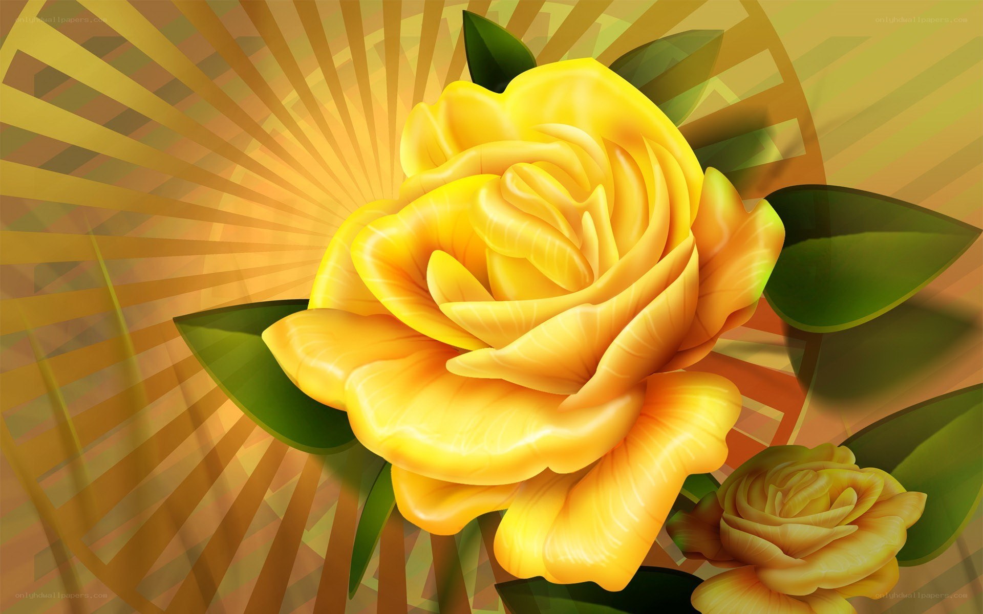 Yellow rose with sunburst background