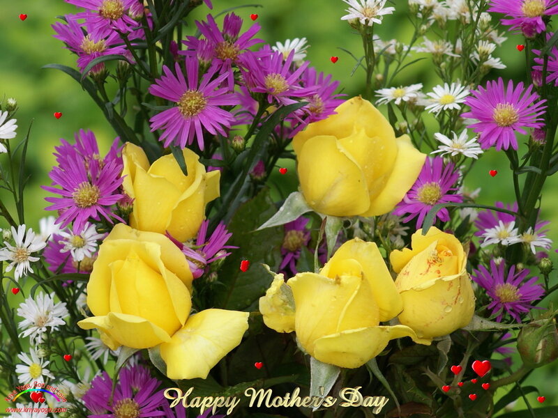 Yellow Roses and Asters — Festive