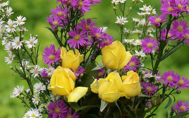Yellow Roses and Asters