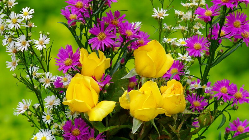 Yellow Roses and Asters — Vibrant