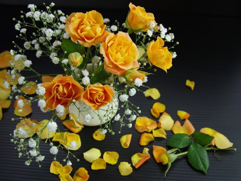 Yellow Roses and Baby's Breath