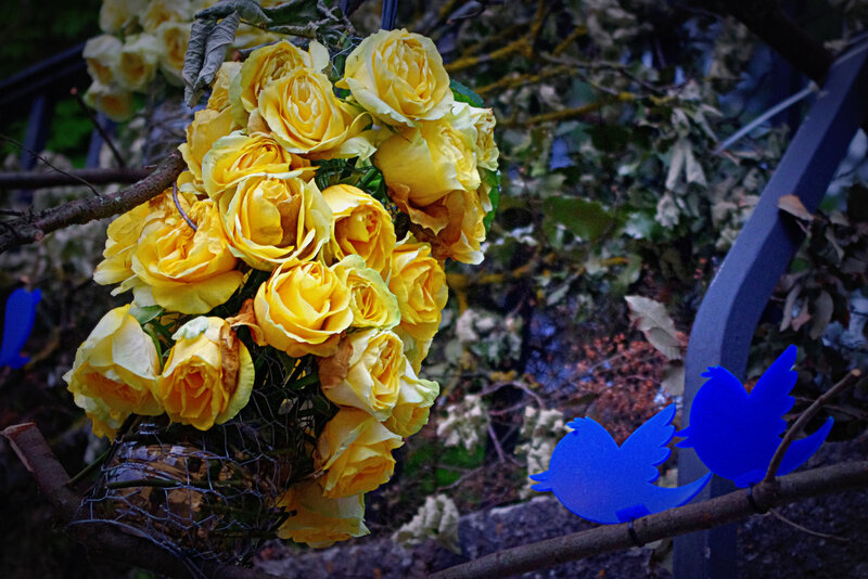 Yellow Roses and Blue Birds