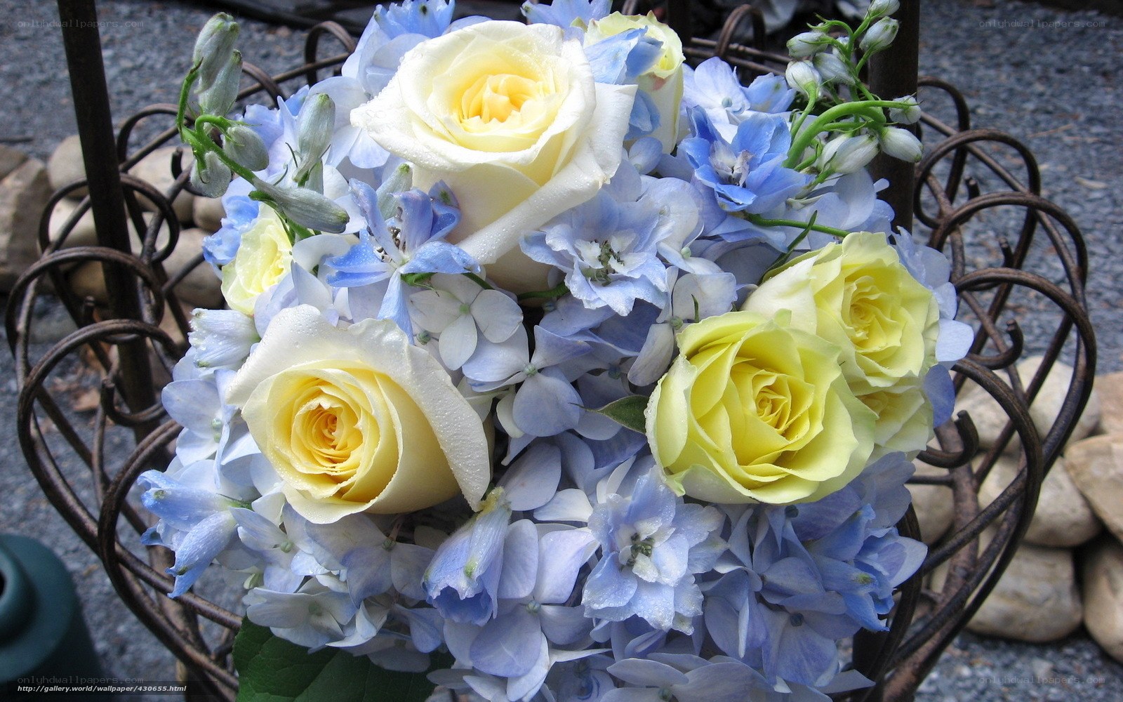yellow roses and blue hydrangeas