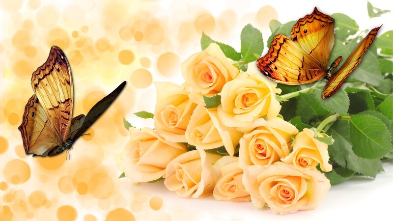 Yellow Roses and Butterflies — Serene, Digital Art