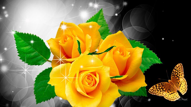 Yellow Roses and Butterfly — Dramatic