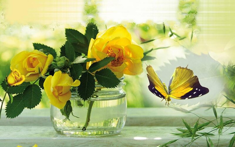 Yellow Roses and Butterfly — Serene, Morning, Photograph, Jar