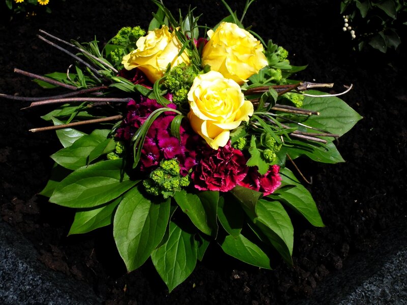 Yellow Roses and Carnations — Natural, Afternoon