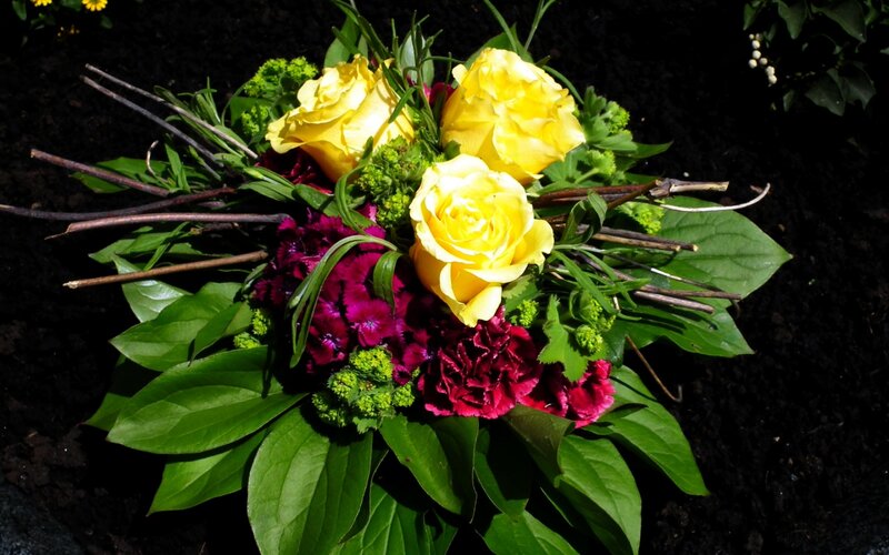 Yellow Roses and Carnations — Natural