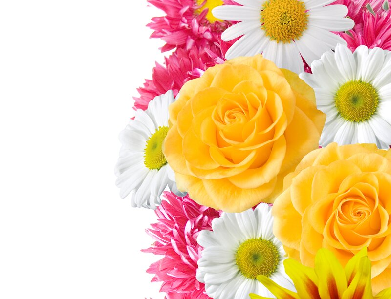Yellow Roses and Daisies — Bright