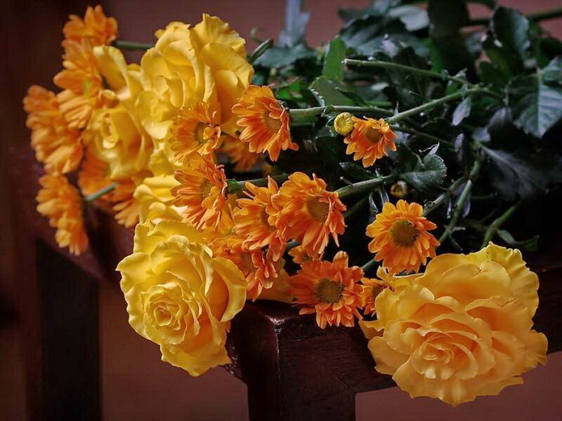 Yellow Roses and Daisies — Calm, Photograph