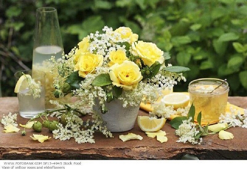 Yellow roses and elderflowers on table