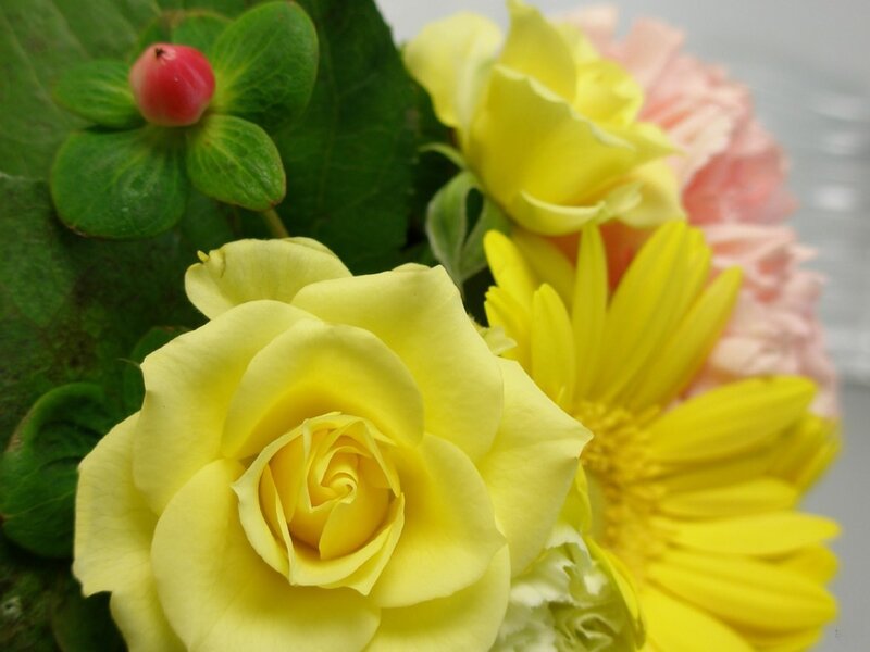 Yellow roses and flowers