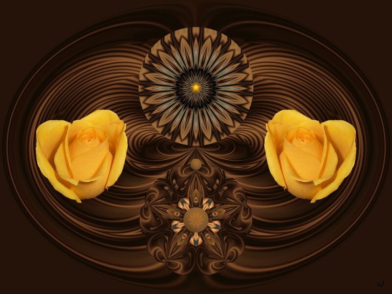Yellow Roses and Fractal Patterns