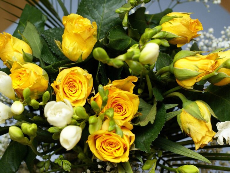 Yellow Roses and Freesias