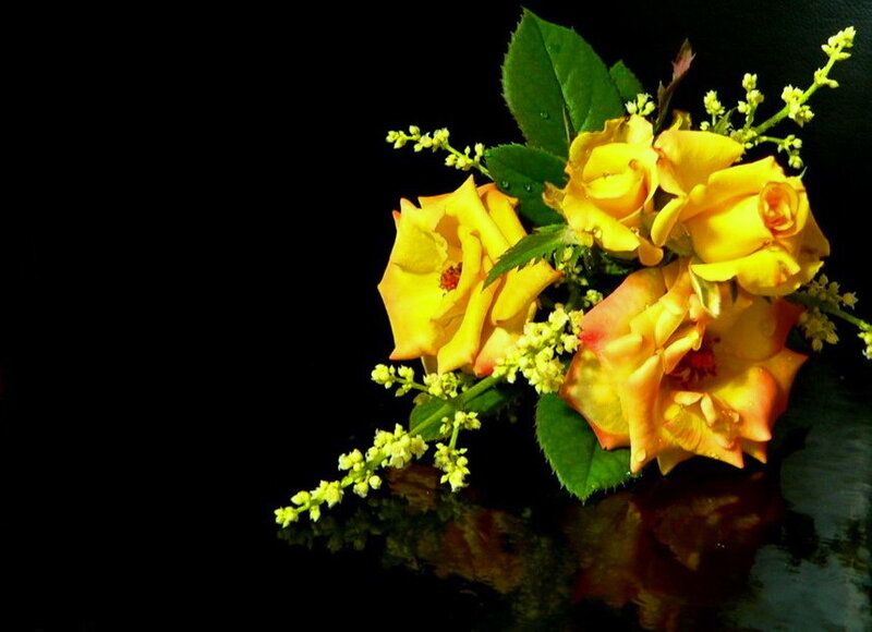 Yellow Roses and Greenery