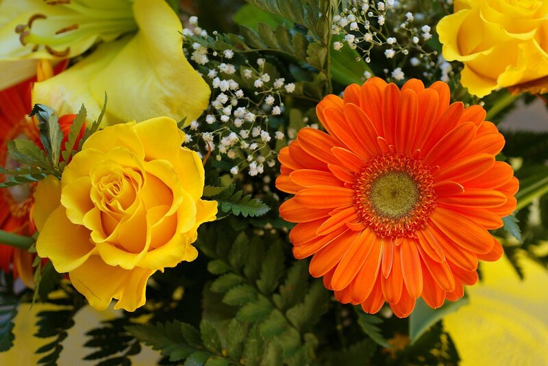 Yellow Roses and Orange Gerbera — Bright