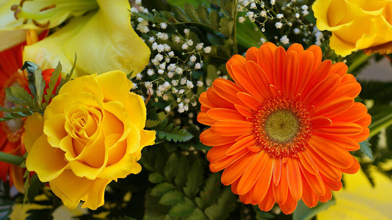 Yellow Roses and Orange Gerbera — Vibrant