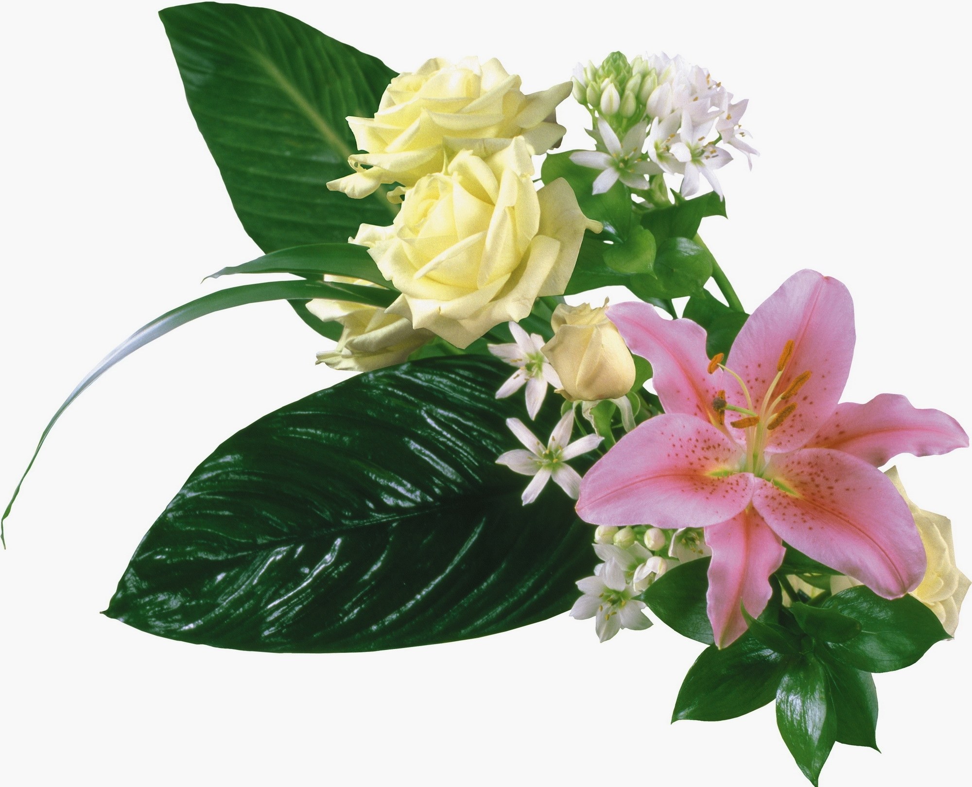 yellow roses and pink lily bouquet