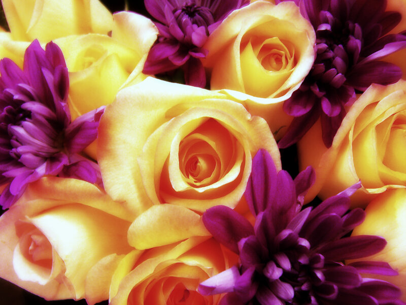 yellow roses and purple flowers