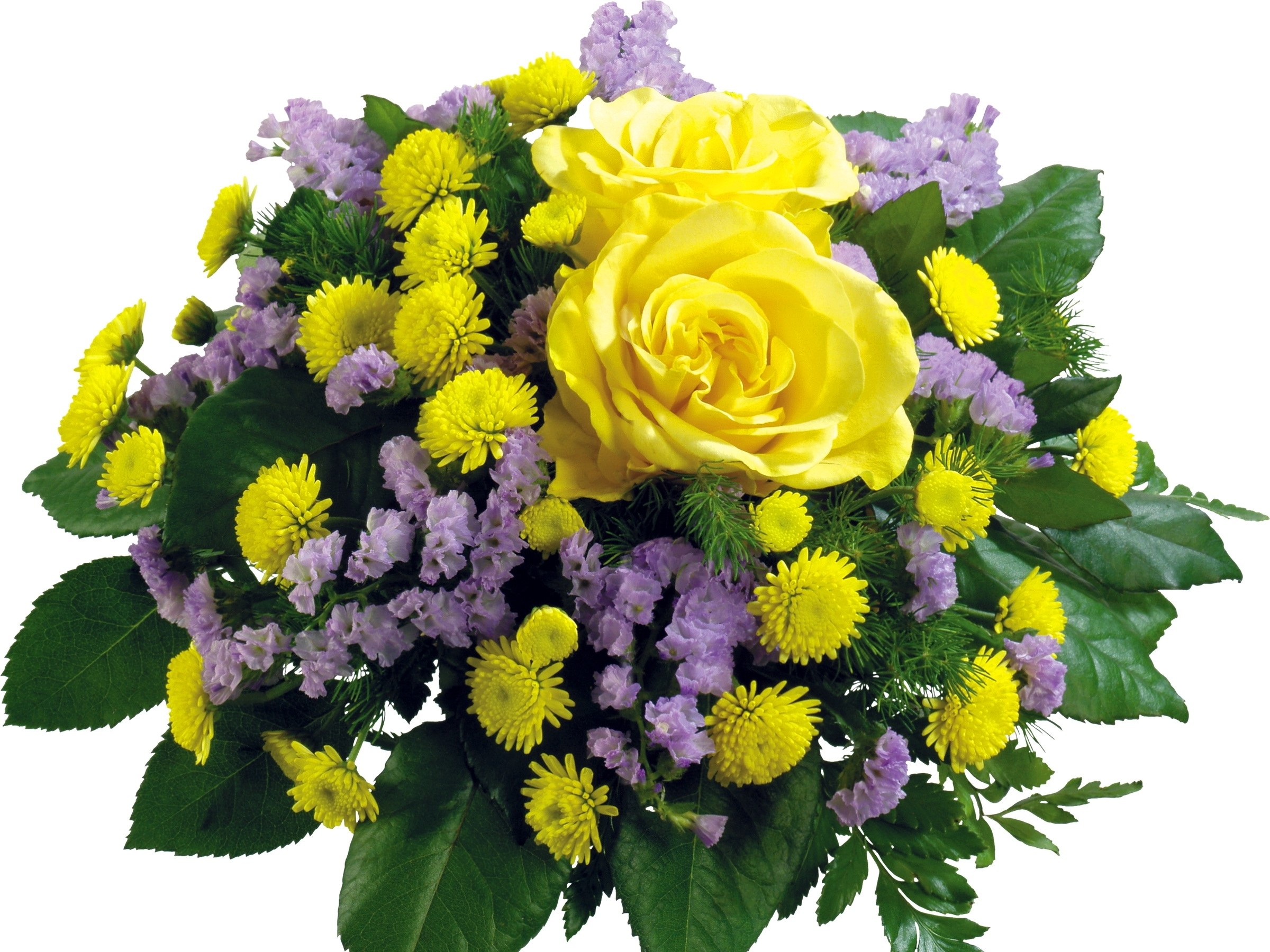 yellow roses and purple flowers
