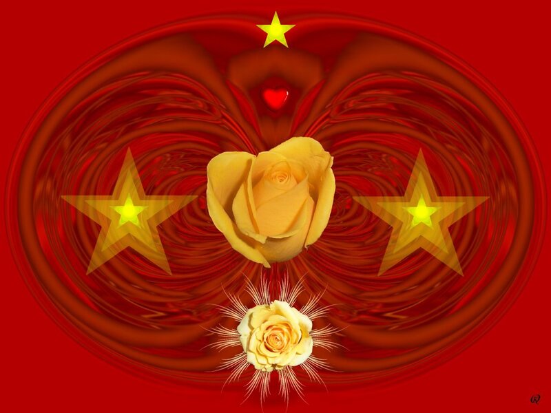 Yellow Roses and Stars
