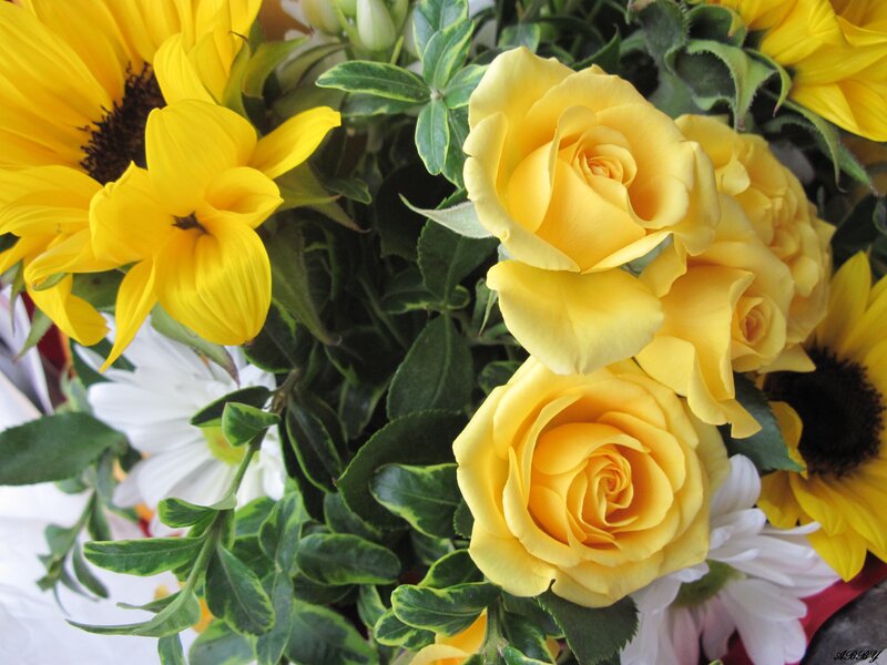 Yellow Roses and Sunflowers