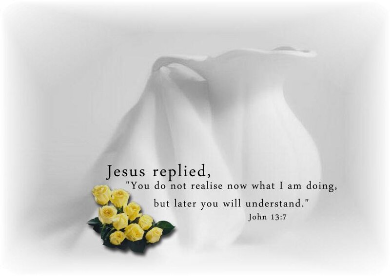Yellow Roses and White Cloth