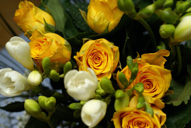 Yellow Roses and White Freesias