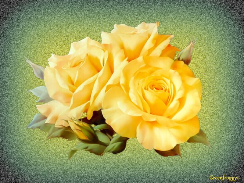 Yellow Roses Bouquet — Calm, Digital Art