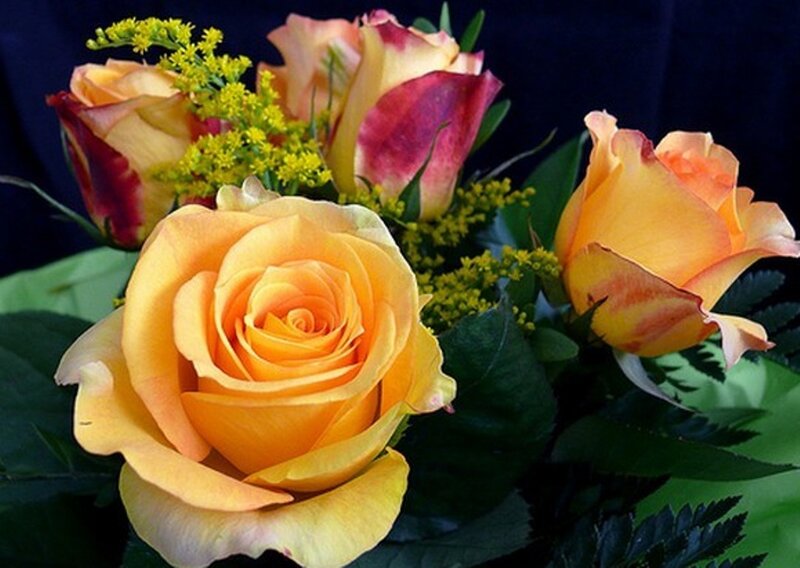Yellow Roses Bouquet — Calm, Photograph, Green Leaves