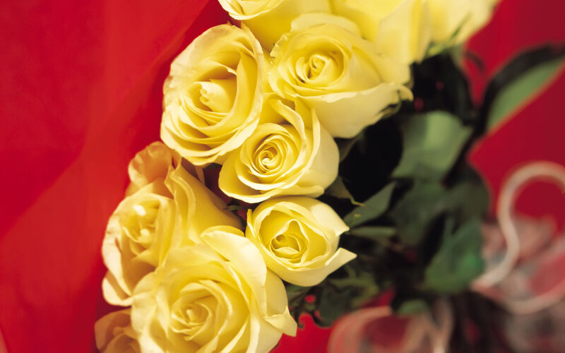 Yellow Roses Bouquet — Calm, Photograph