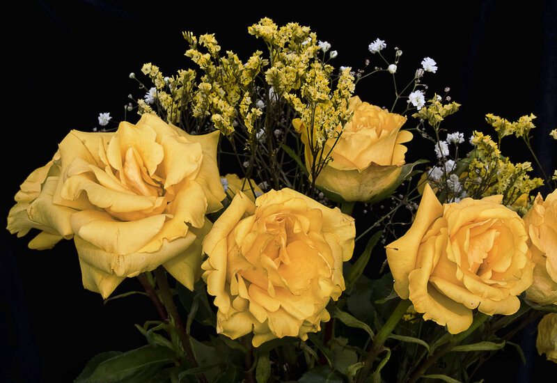 Yellow Roses Bouquet — Dramatic, Photograph, Small White Flowers