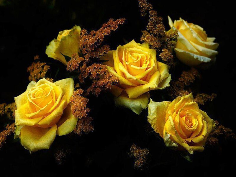 Yellow Roses Bouquet — Dramatic, Photograph