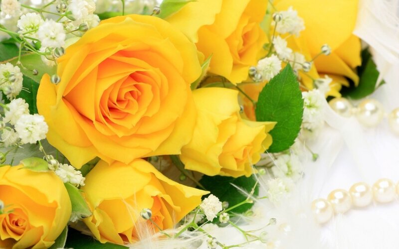 Yellow Roses Bouquet — Elegant, Photograph