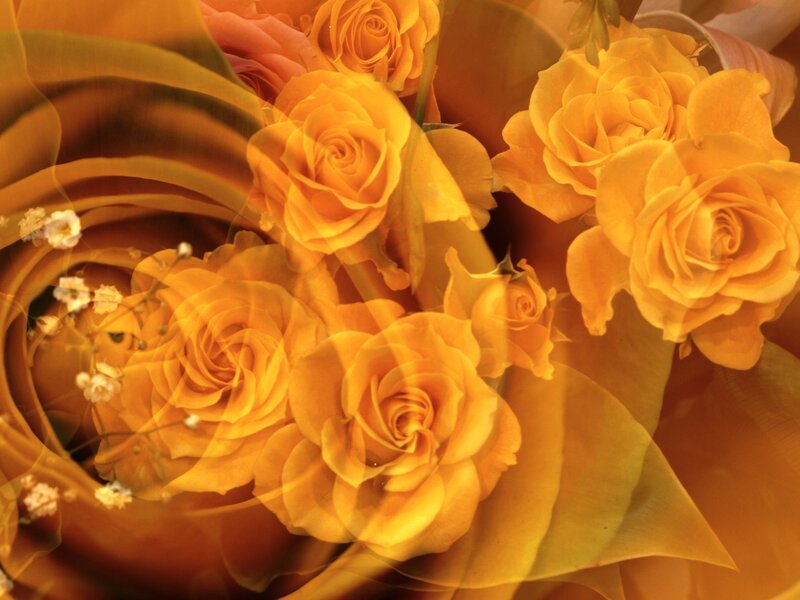 Yellow Roses Bouquet — Warm