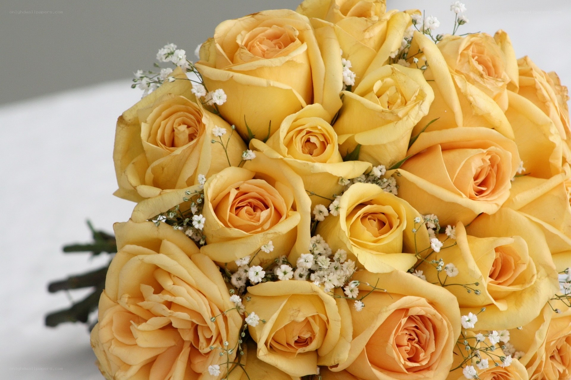 yellow roses bouquet