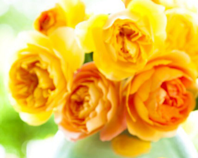Yellow Roses in a Bouquet — Bright
