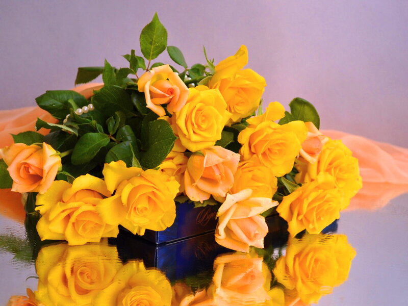 Yellow Roses in a Box — Calm
