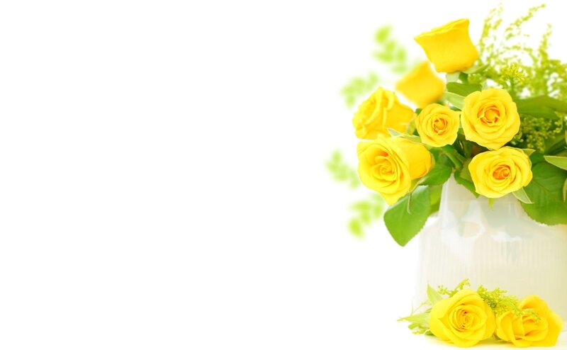 yellow roses in a vase