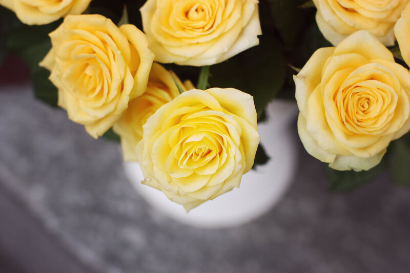 Yellow Roses in a Vase — Calm, Photograph, Leaves