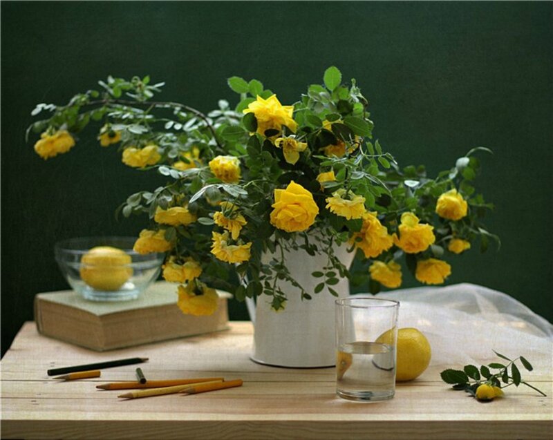 Yellow Roses in a Vase — Calm, Photograph