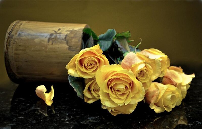 Yellow Roses in Bamboo — Calm, Photograph, Bamboo Container, Black Surface, Petal