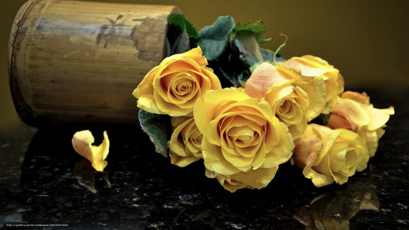 Yellow Roses in Bamboo — Calm, Photograph, Bamboo Container, Green Leaves