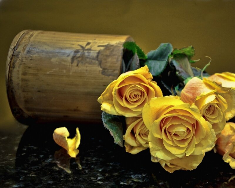 Yellow Roses in Bamboo — Calm, Photograph, Bamboo Container
